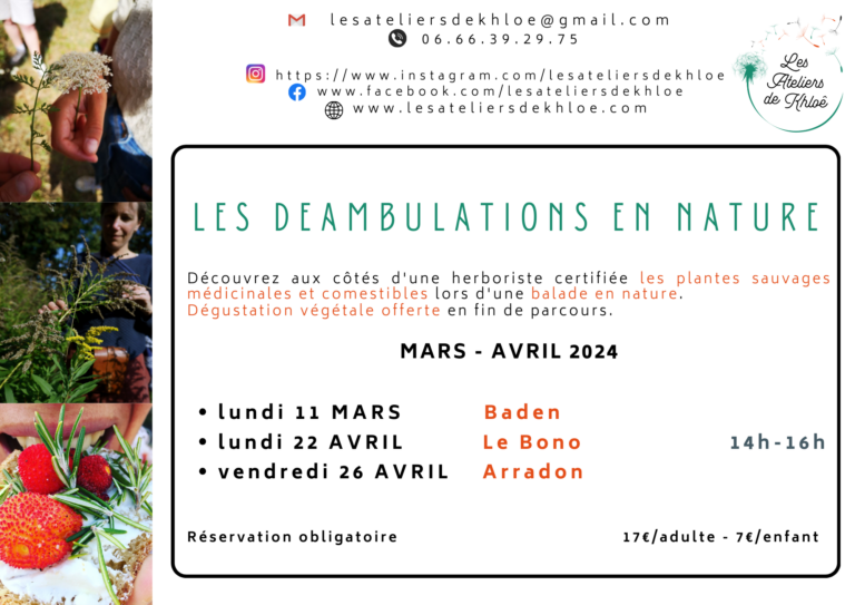 Lire la suite à propos de l’article Les déambulation en nature. Programme mars-avril 2024