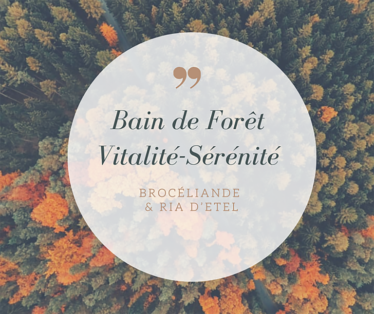 Lire la suite à propos de l’article Bain de forêt