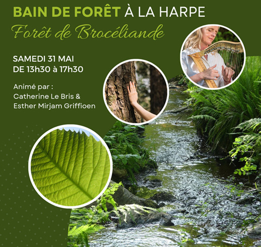 Lire la suite à propos de l’article Bain de forêt à la harpe
