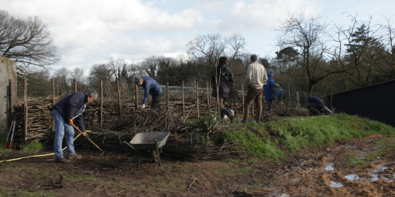 Lire la suite à propos de l’article Atelier participatif « Haie sèche » chez Keyll Forêt Jardin