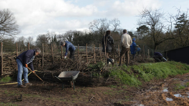 Atelier participatif « Haie sèche » chez Keyll Forêt Jardin