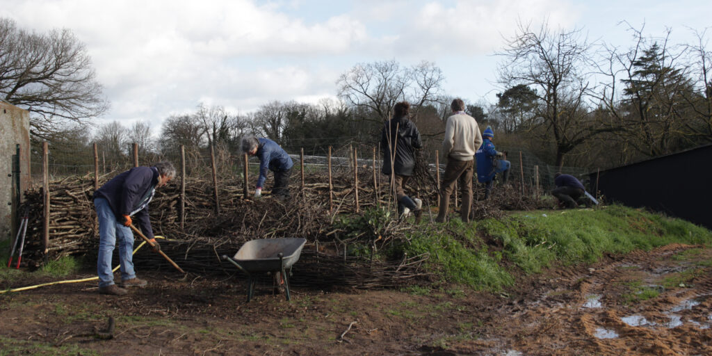 Lire la suite à propos de l’article Atelier participatif « Haie sèche » chez Keyll Forêt Jardin