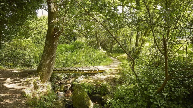 Lire la suite à propos de l’article 3ème édition du Bain de forêt à la Harpe