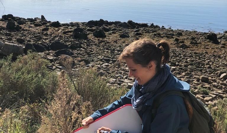 Sortie plantes sauvages et gourmandises