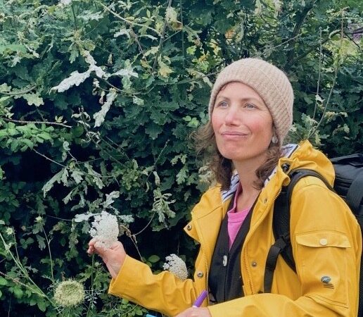 Les sorties Plantes Sauvages & Gourmandises