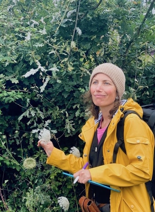 Lire la suite à propos de l’article Les sorties Plantes Sauvages & Gourmandises