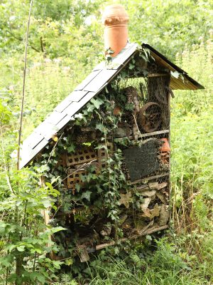 hotel à insecte