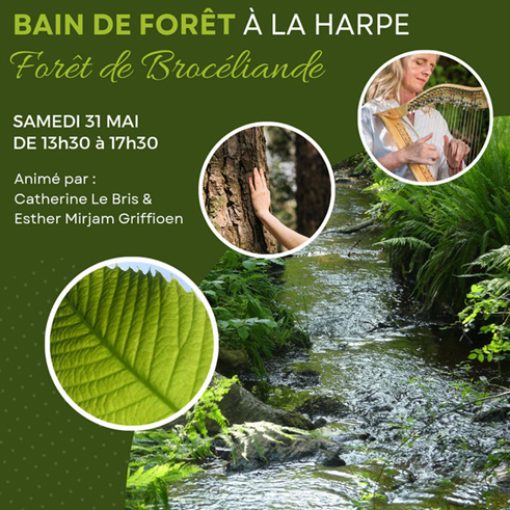 bain de forêt à la harpe