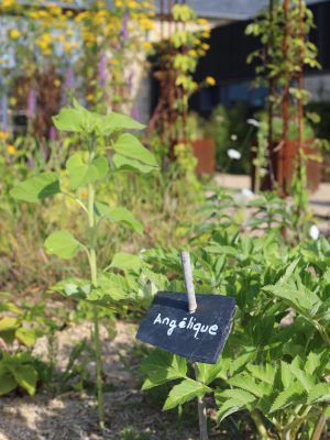 potager perma