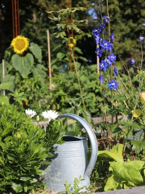 potager permaculture